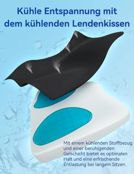 Travel Ease Ergonomisches RückenKissen aus Gel Memory Foam Lendenkiss