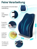 Travel Ease Ergonomisches RückenKissen aus Memory Foam Lendenkissen f